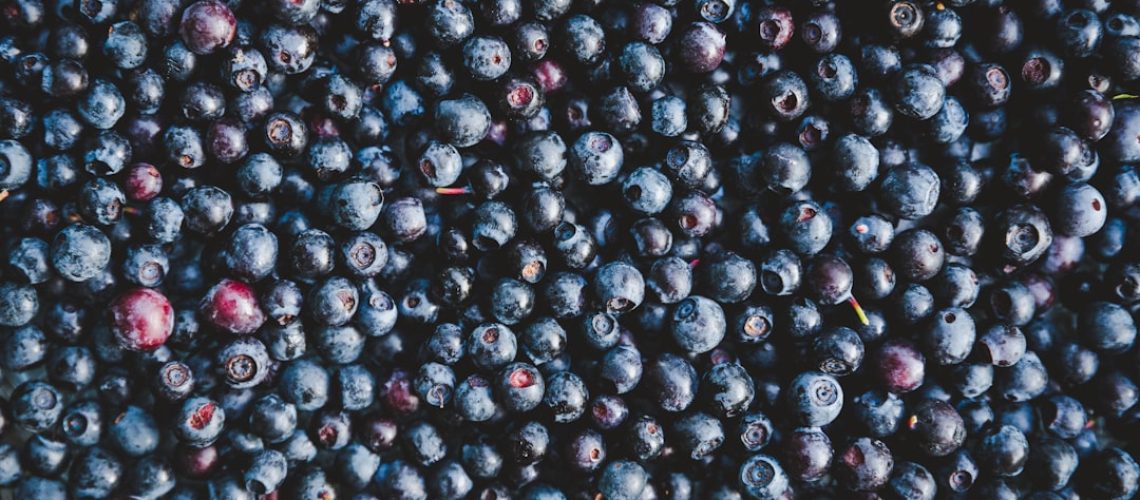bienfaits-confiture-myrtille-backlink