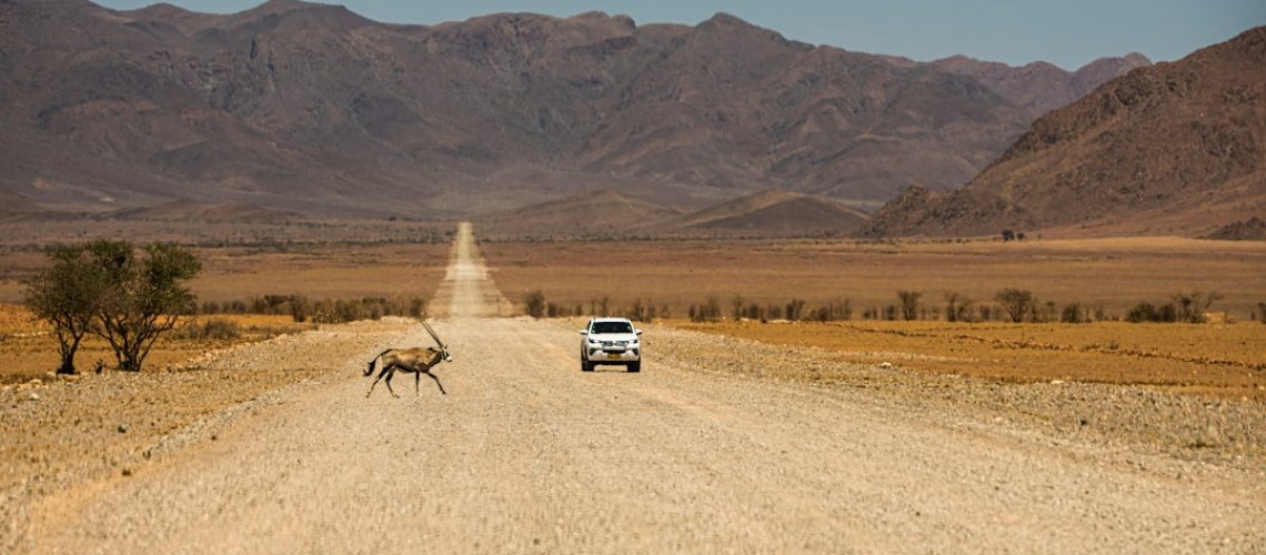 questions-frequemment-posees-namibie-backlink