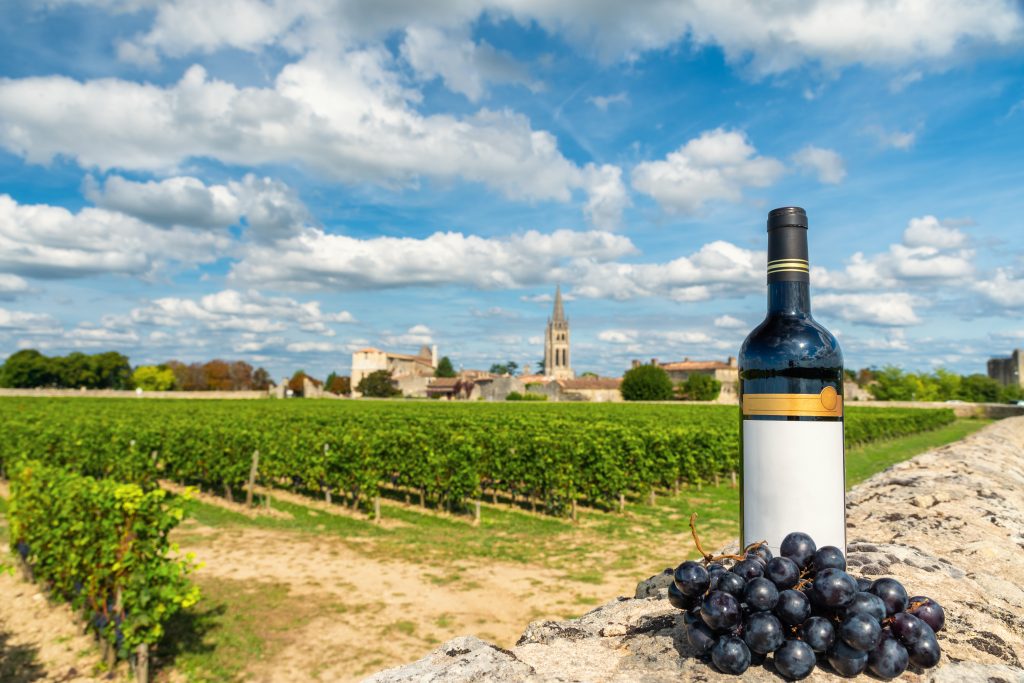 Découvrez les trésors viticoles de Bordeaux lors d&rsquo;une expérience inoubliable