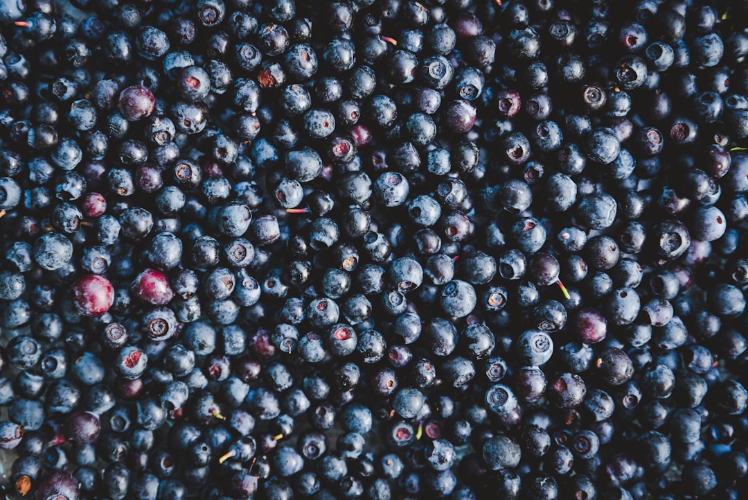 bienfaits-confiture-myrtille-backlink