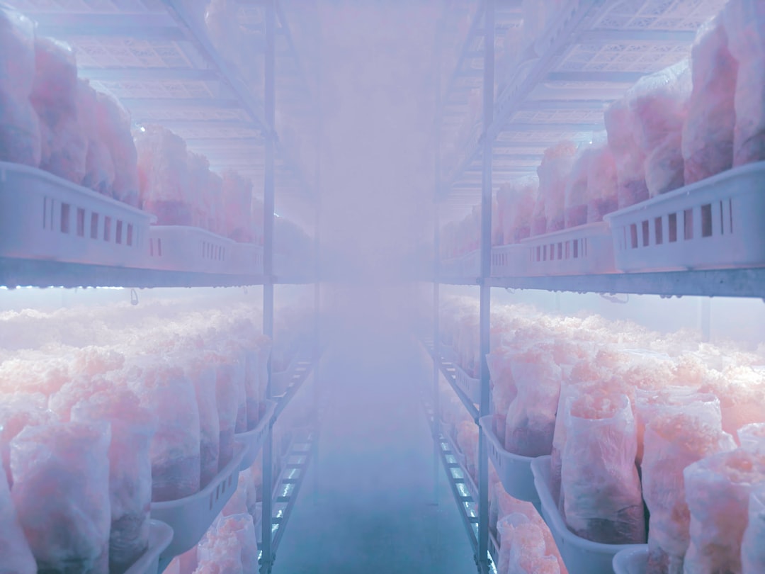 atouts-application-haccp-backlink