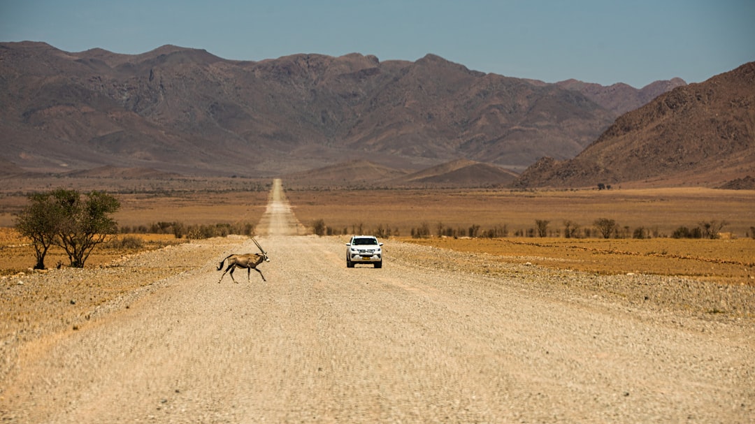 questions-frequemment-posees-namibie-backlink